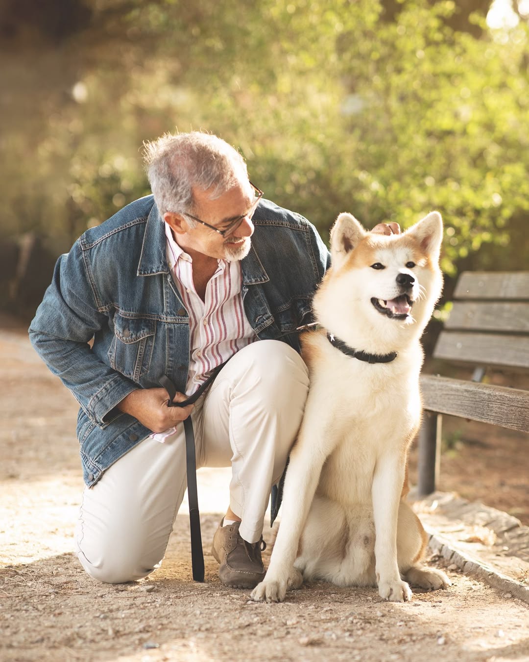 Comment bien mesurer son chien pour un harnais parfait (Guide 2026)
